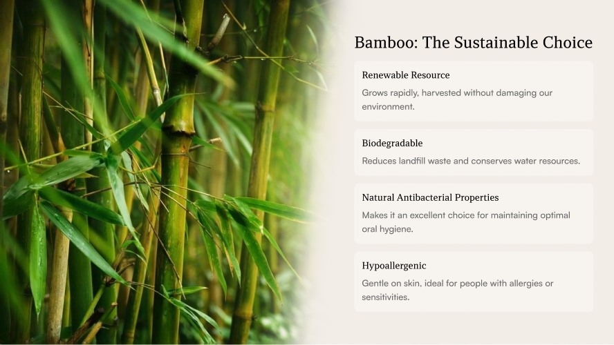 Features page showing reasons why bamboo is a sustainable choice for oral health products